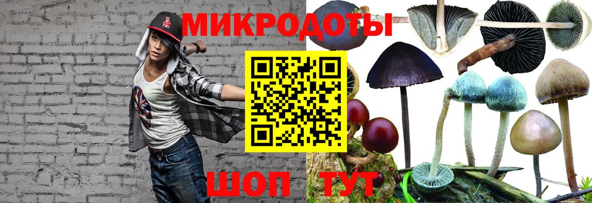 Галлюциногенные грибы прущие грибы  закладки  Ишимбай  Вход с VPN 