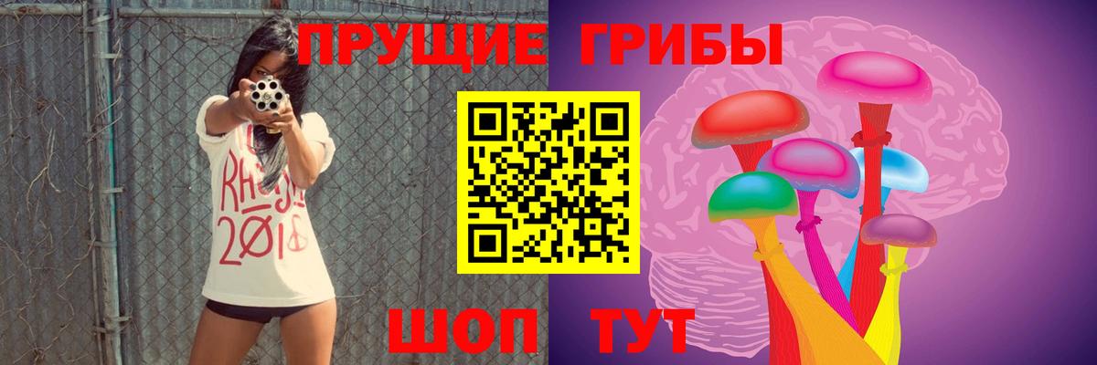 Псилоцибиновые грибы Psilocybine cubensis Ишимбай
